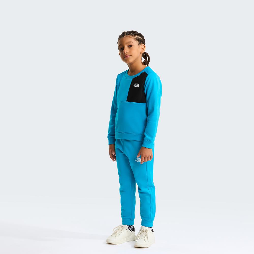 Tepláková souprava The North Face Performance 0A8CV0D7R1 - modré