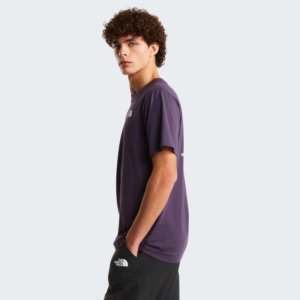 Pánská tričko The North Face Evolution NSE Box 0A8B6KG5O1 - fialové