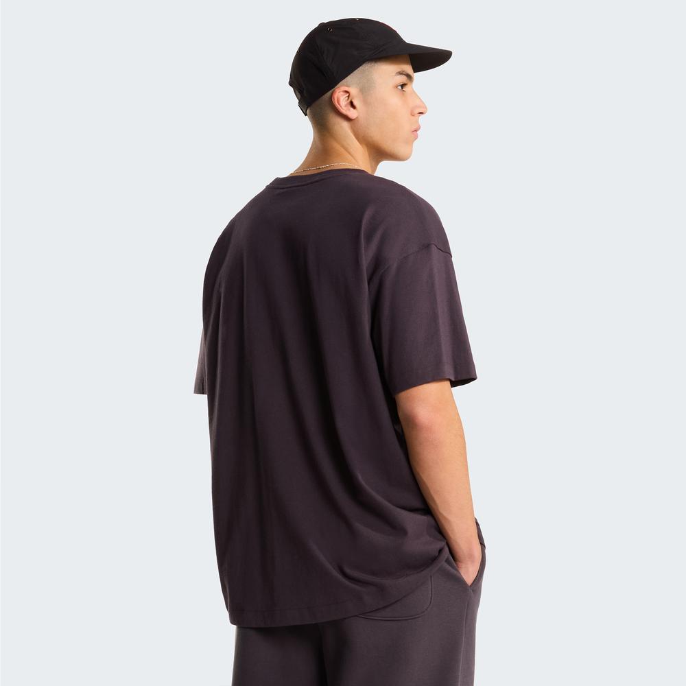 Pánská tričko The North Face Red Box 0A8EG50SA1 - hnědé