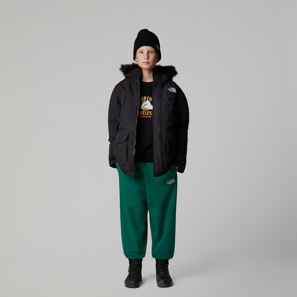 Bunda The North Face McMurdo Parka 0A8A2ZJK31 - černé