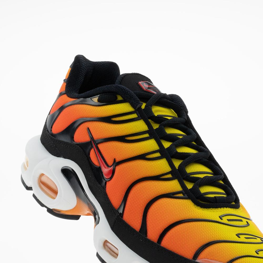 Pánské boty Nike Air Max Plus HF0552-001 - různobarevné