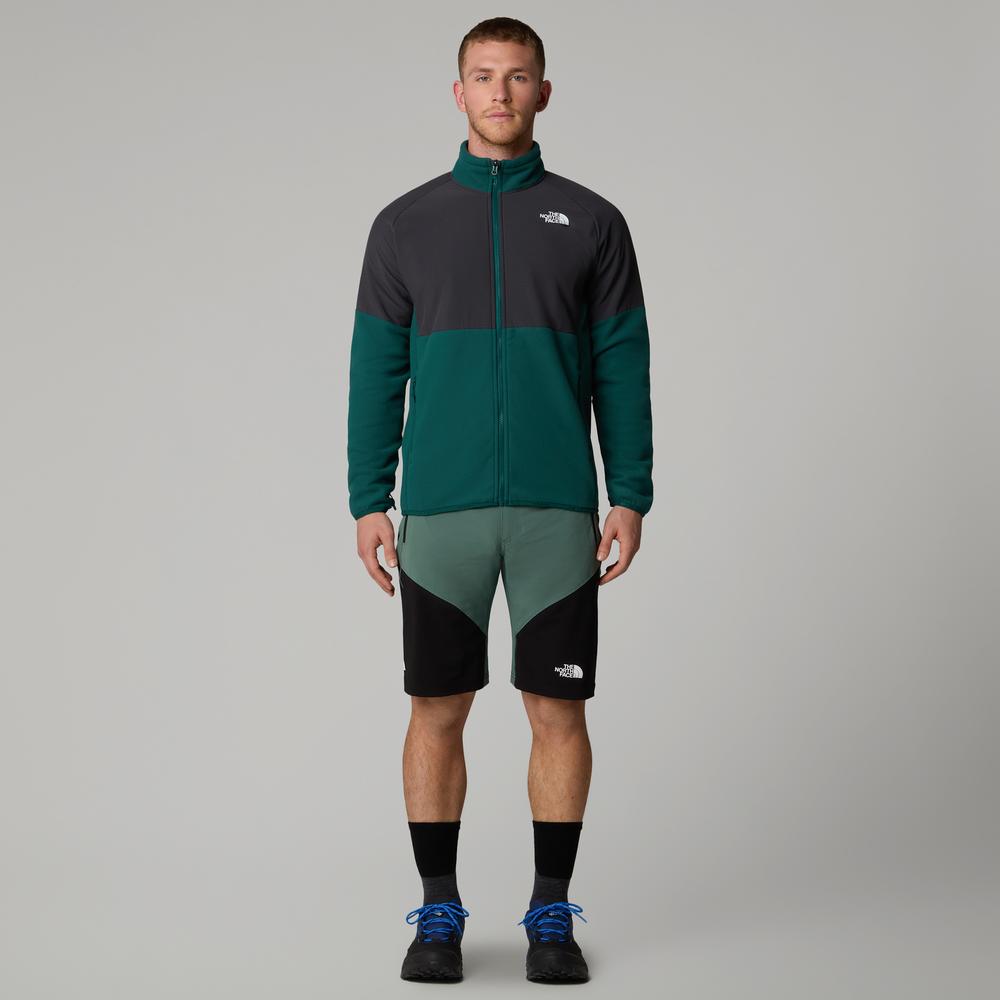 Pánské krátké kalhoty The North Face Felik 0A825XLFW1 - zelené