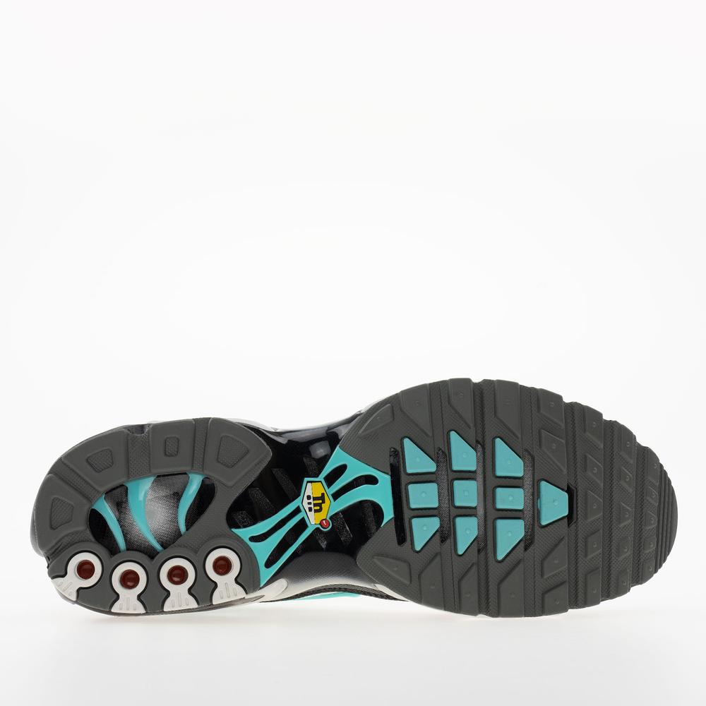 Pánské boty Nike Air Max Plus HV6225-100 - bílé