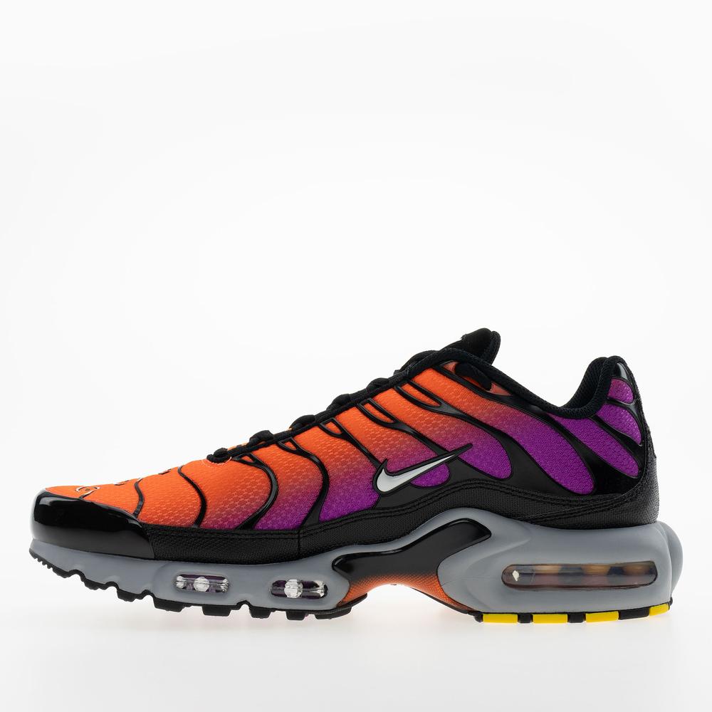 Pánské boty Nike Air Max Plus DM0032-014 - různobarevné