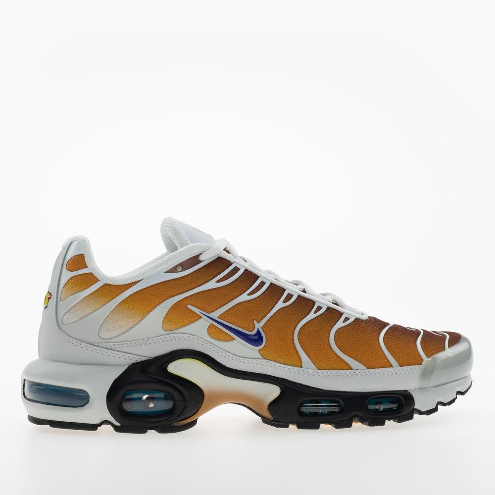 Pánské boty Nike Air Max Plus FZ3308-700 - různobarevné