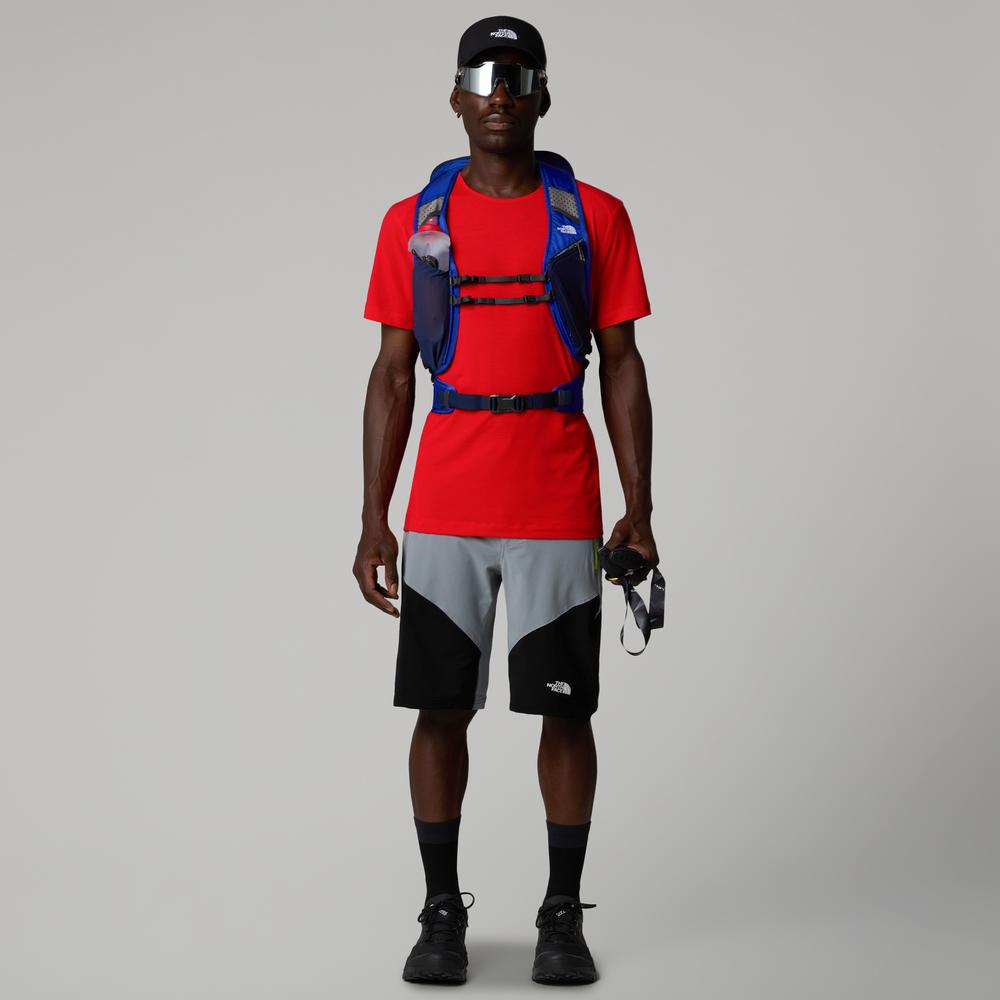 Pánské krátké kalhoty The North Face Felik 0A825XBO71 - šedivé