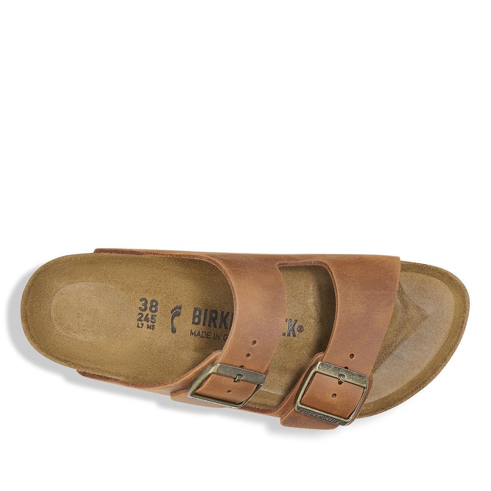 Žabky pánské Birkenstock Arizona 1028272 - hnědé