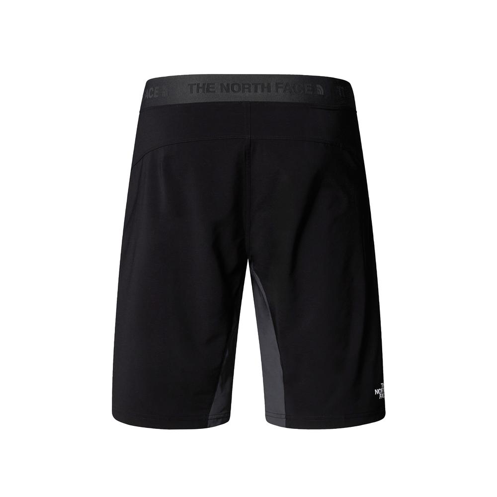Pánské krátké kalhoty The North Face Felik 0A825X4JK1 - šedivé