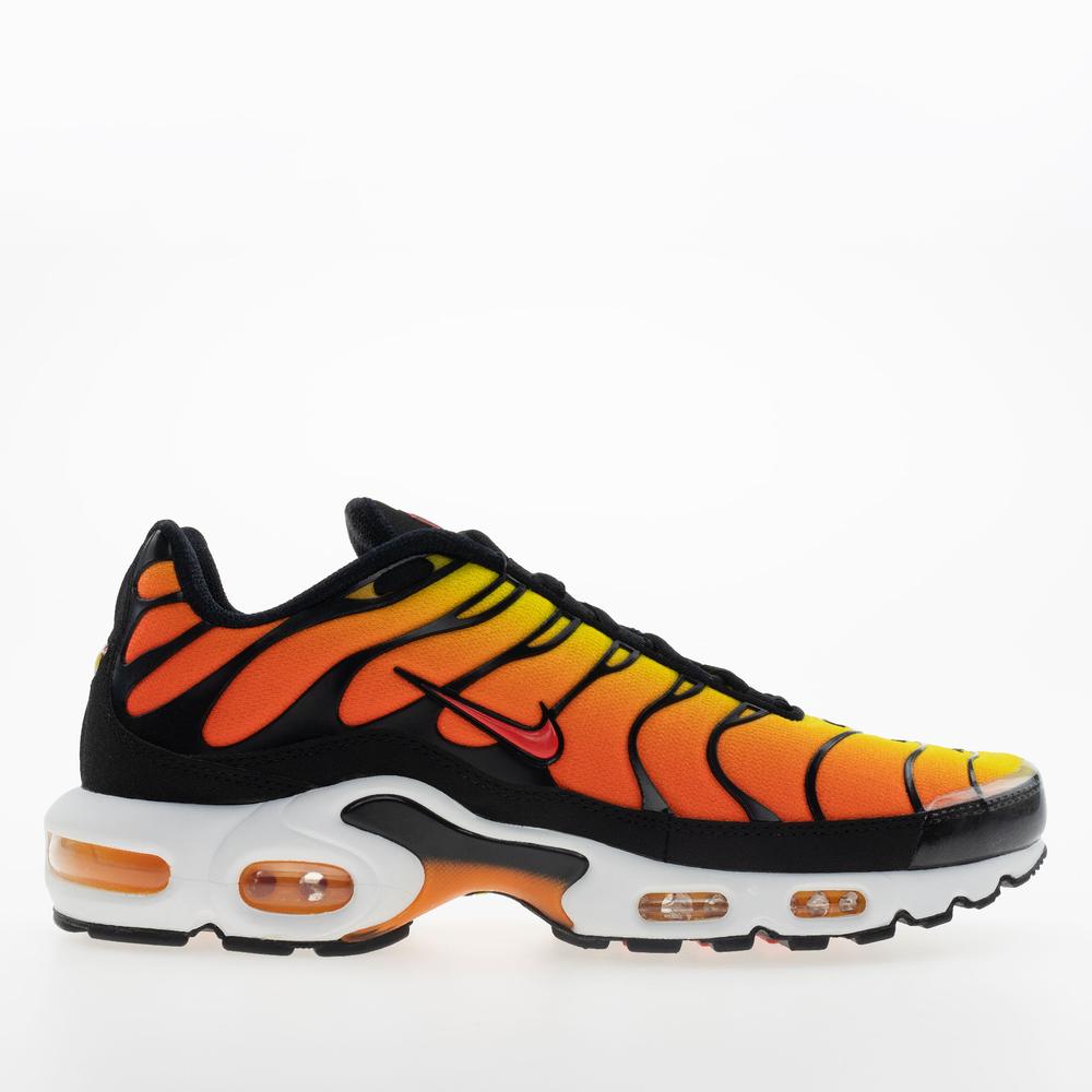 Pánské boty Nike Air Max Plus HF0552-001 - různobarevné