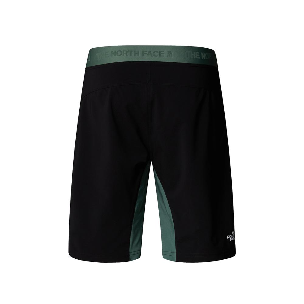 Pánské krátké kalhoty The North Face Felik 0A825XLFW1 - zelené