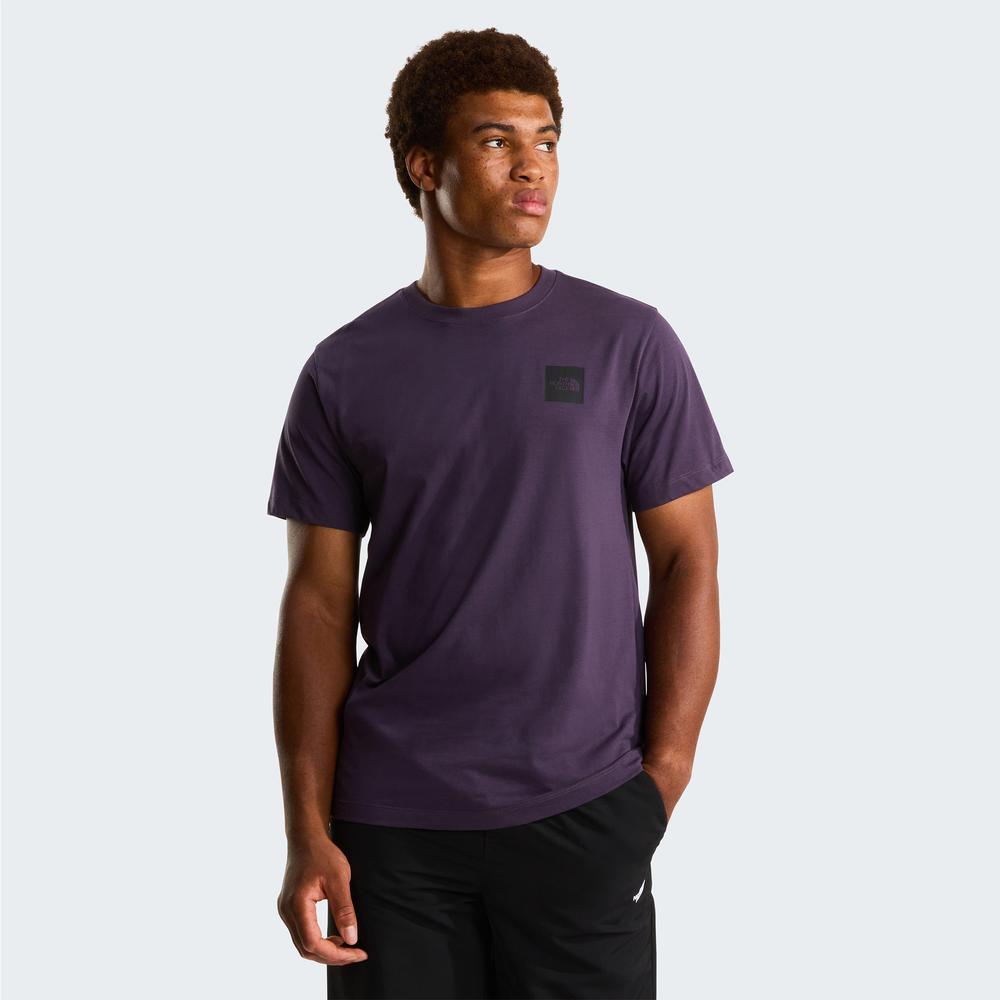 Pánská tričko The North Face Evolution Box Half Dome 0A8G9CG5O1 - fialové