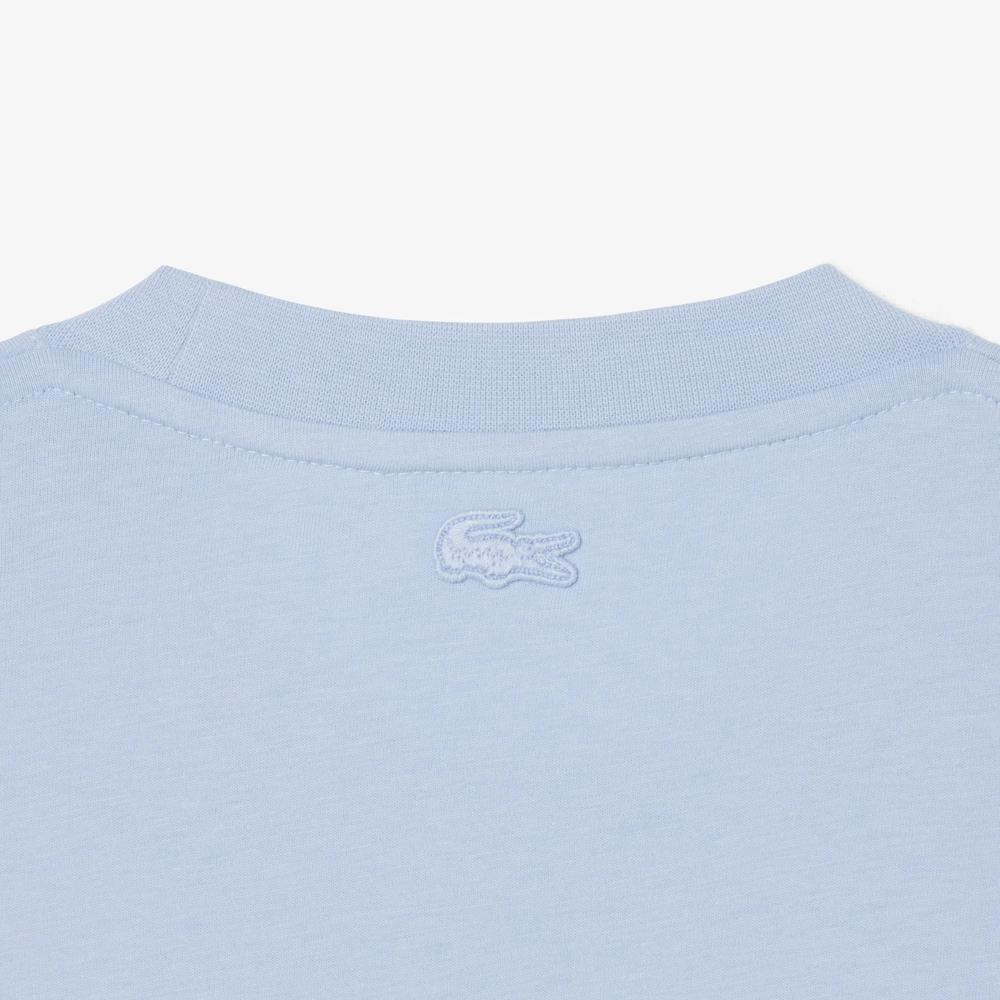 Pánská Tričko Lacoste TH1427-HBA - modré