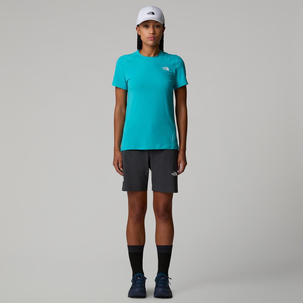 Dámské Krátké kalhoty The North Face Felik 0A8BT4MN81 - šedivé