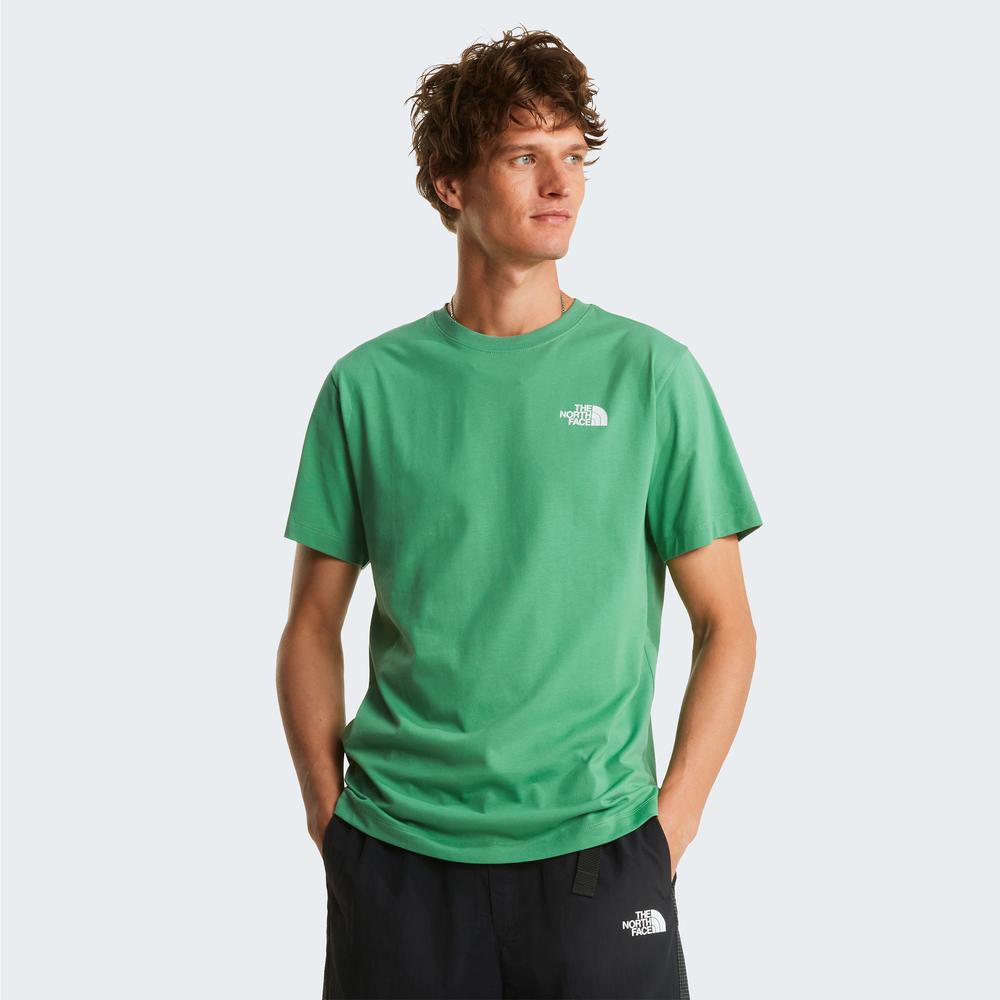 Pánská tričko The North Face Evolution NSE Box 0A8B6KG571 - zelené