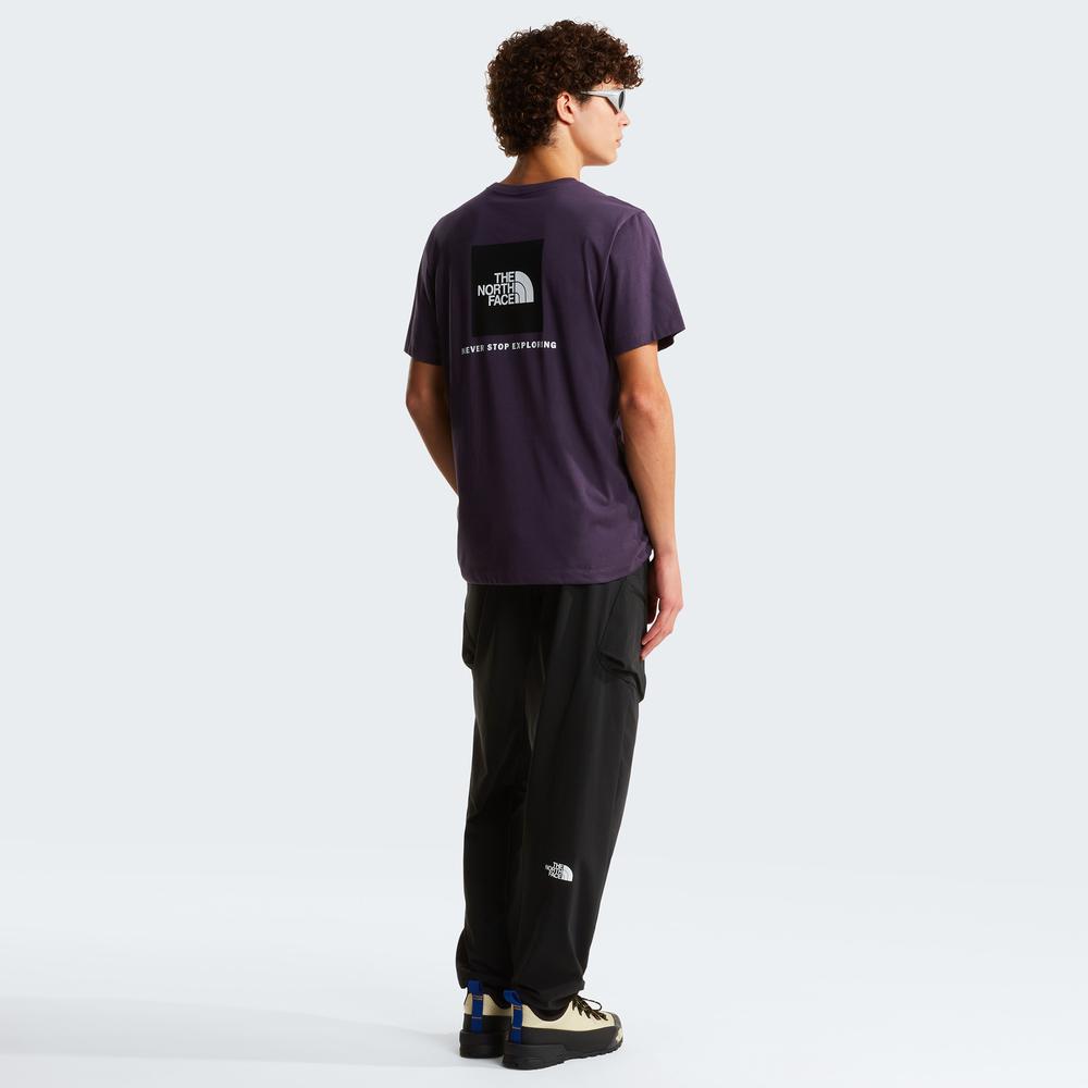 Pánská tričko The North Face Evolution NSE Box 0A8B6KG5O1 - fialové