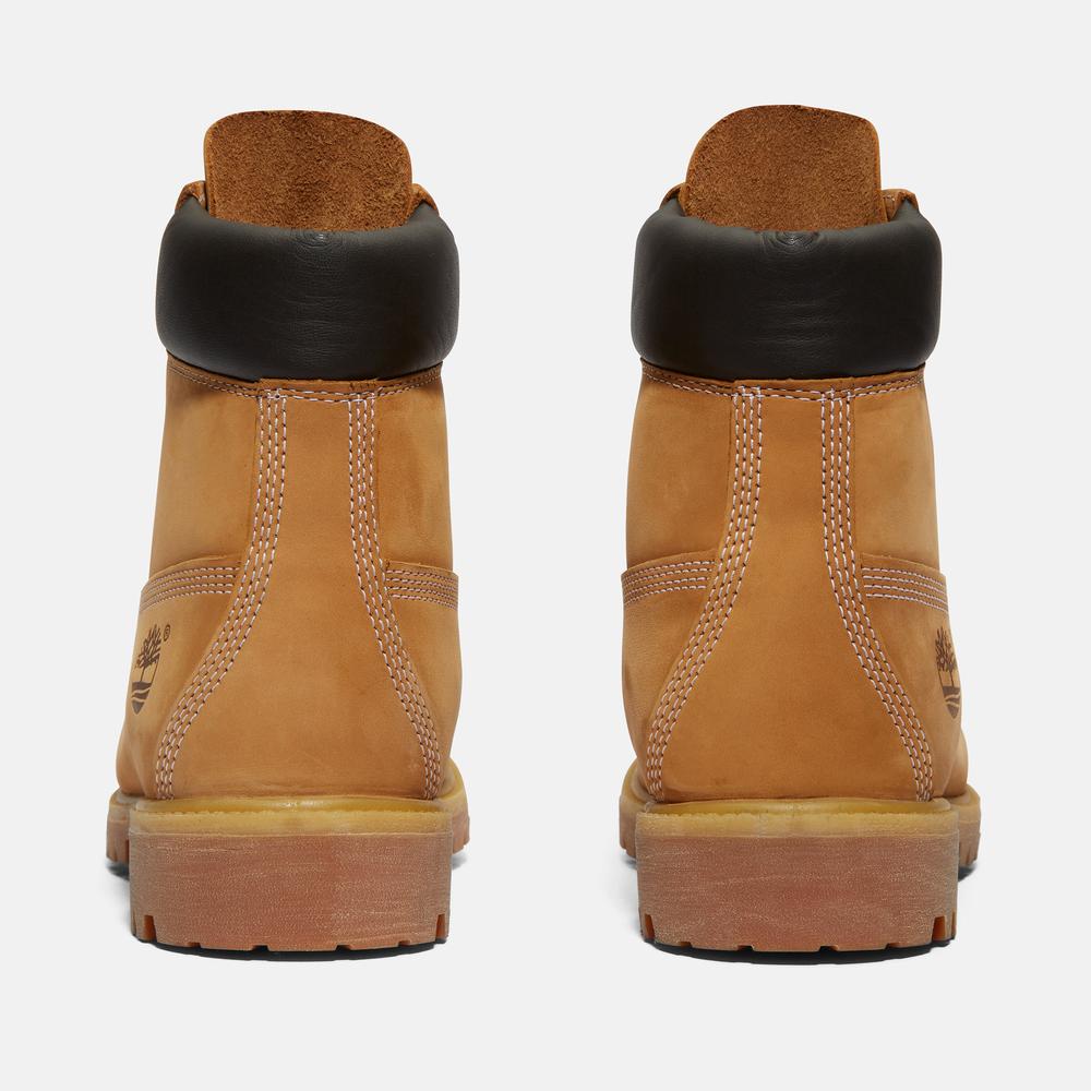 Pánské boty Timberland Premium 6 Inch Boot 1100617131 - hnědé