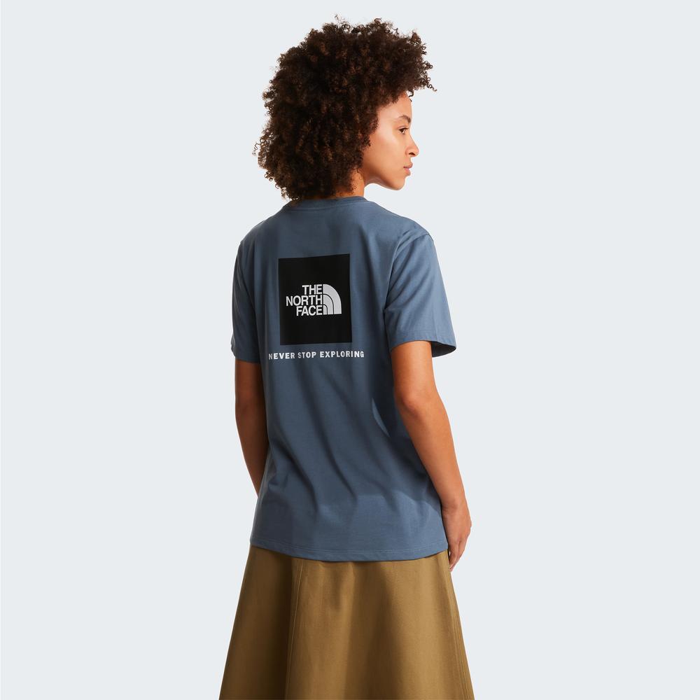 Dámská tričko The North Face Evolution NSE Box 0A8B6W0U31 - modré