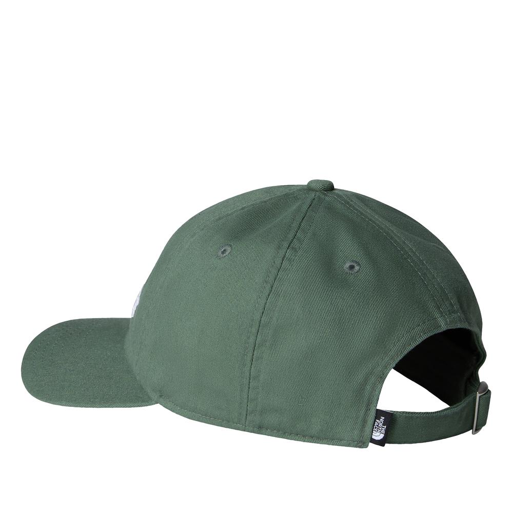 Kšiltovka The North Face Norm 0A7WHPBOL1 - zelené