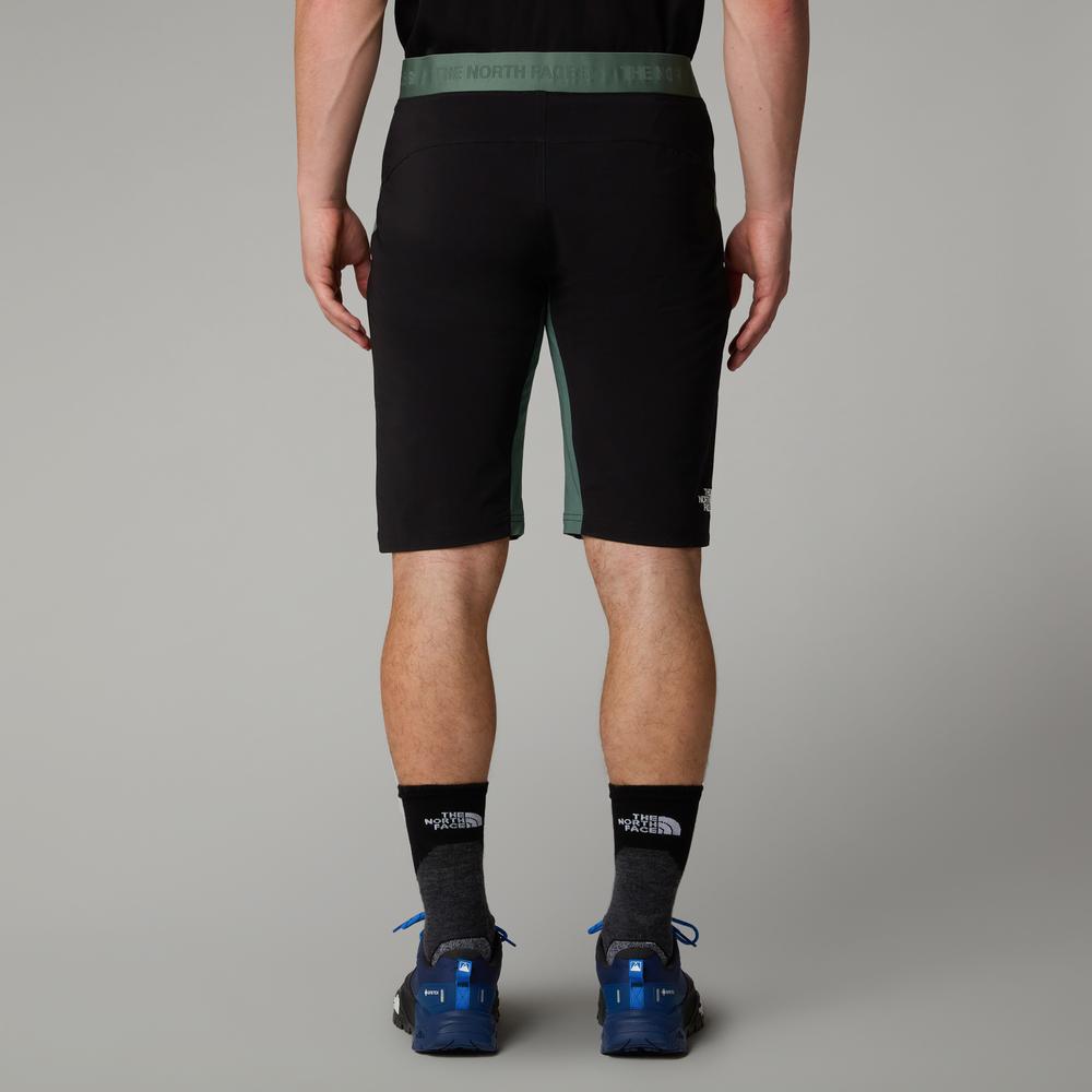 Pánské krátké kalhoty The North Face Felik 0A825XLFW1 - zelené
