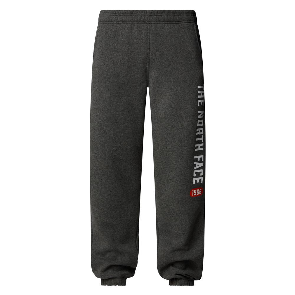 Kalhoty The North Face Varsity Graphic 0A89DPDYY1 - šedivé