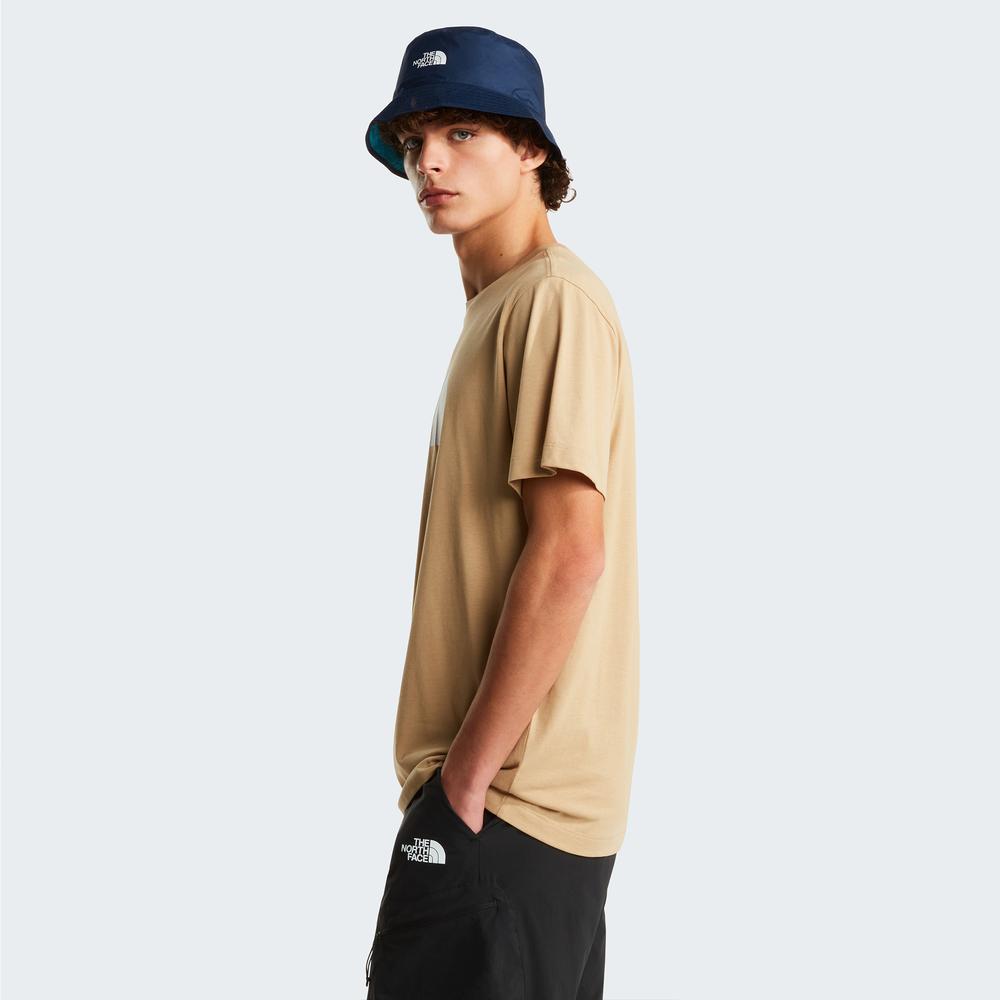 Pánská tričko The North Face Evolution Half Dome 0A8B6JLK51 - béžové