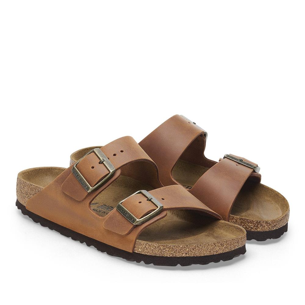Žabky pánské Birkenstock Arizona 1028272 - hnědé