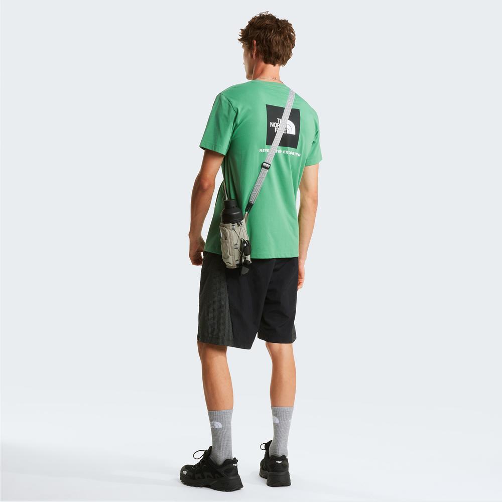 Pánská tričko The North Face Evolution NSE Box 0A8B6KG571 - zelené