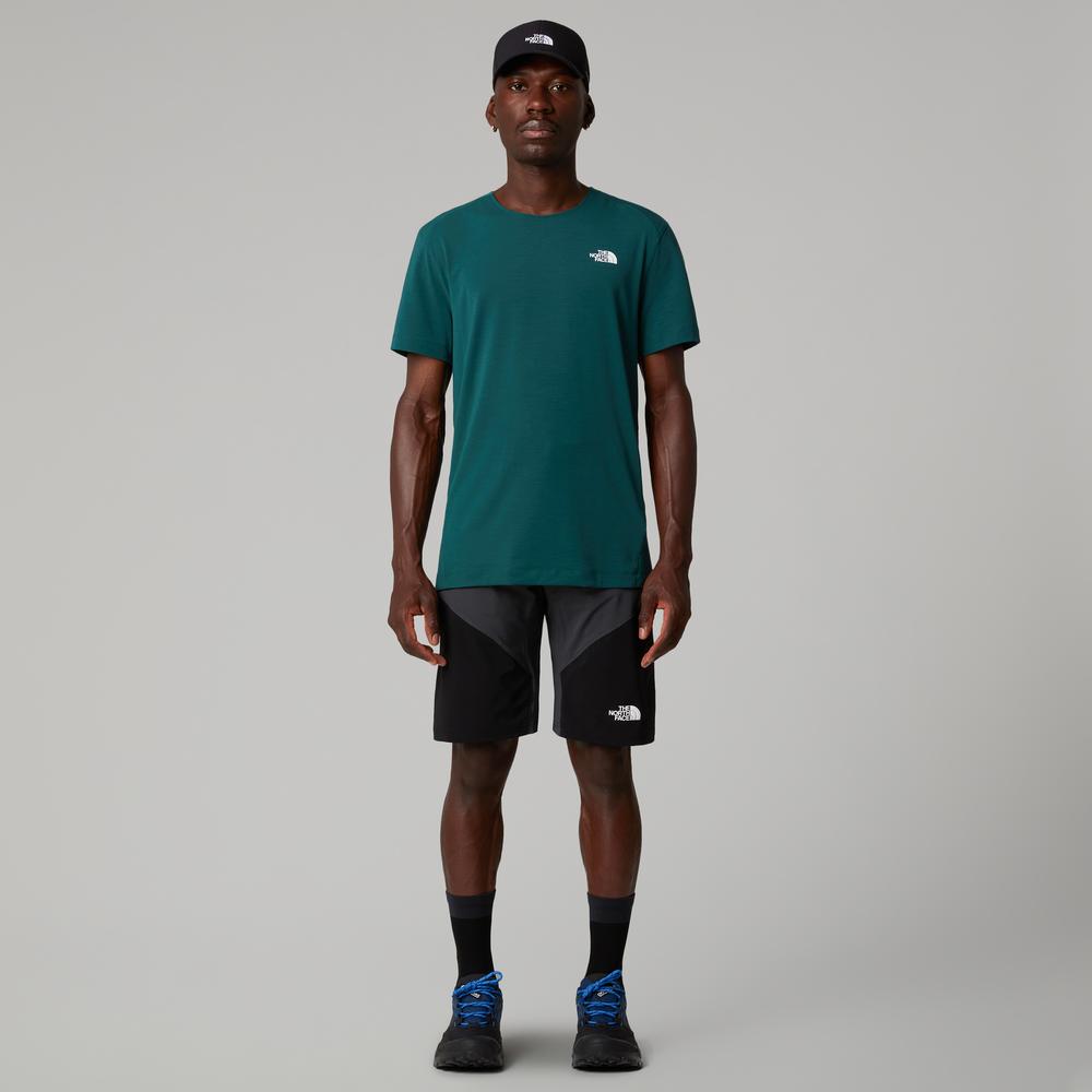 Pánské krátké kalhoty The North Face Felik 0A825X4JK1 - šedivé