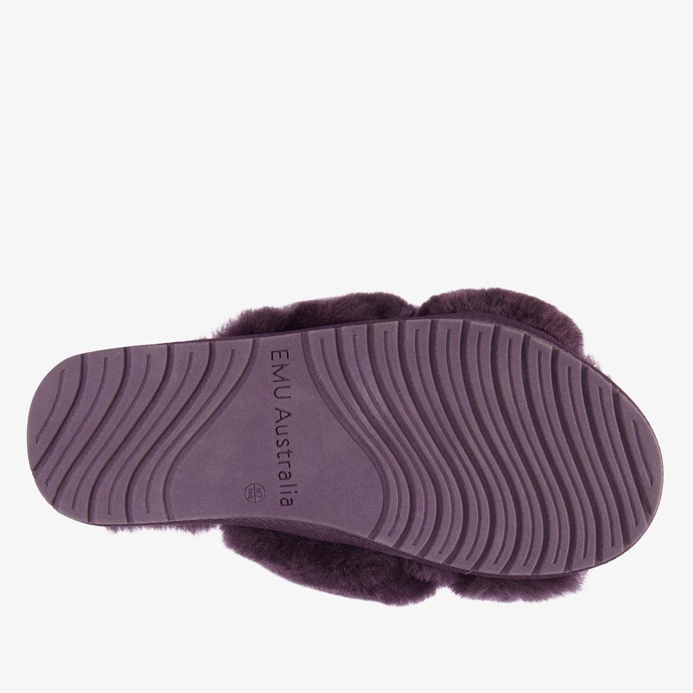 Žabky Emu Australia Mayberry W11573PLUM - fialové