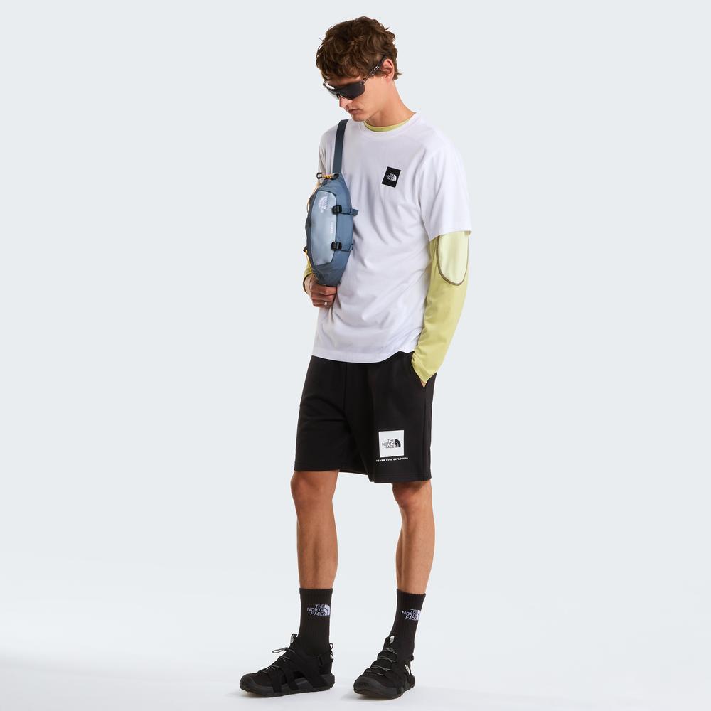 Pánská tričko The North Face Evolution Box Half Dome 0A8G9CFN41 - bílé