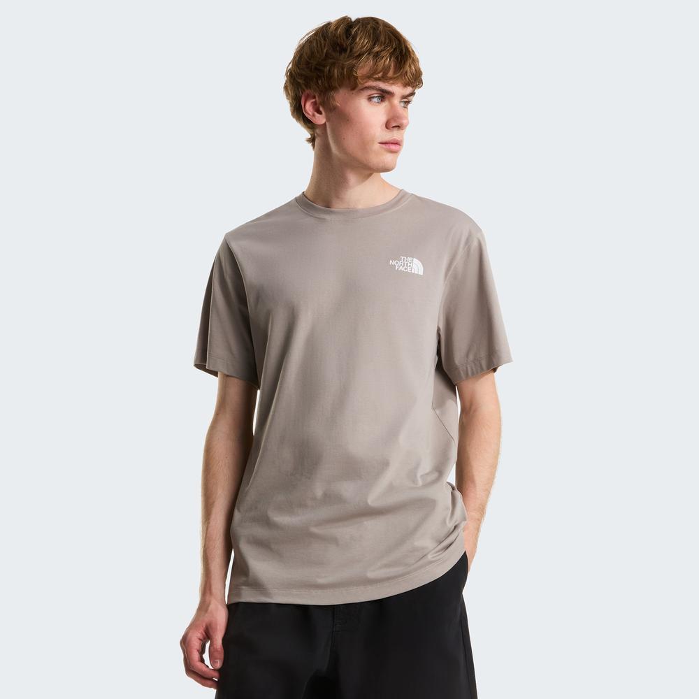 Pánské tričko The North Face Evolution NSE Box 0A8B6K2MB1 - šedivé