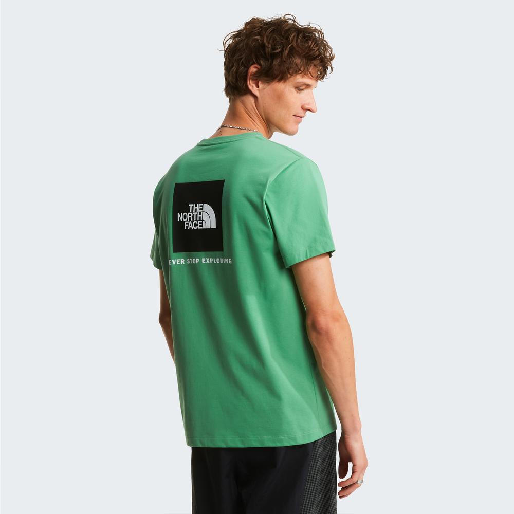 Pánská tričko The North Face Evolution NSE Box 0A8B6KG571 - zelené