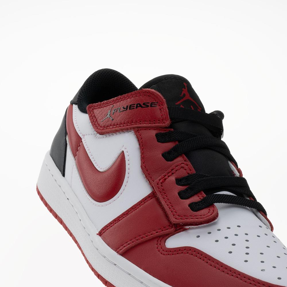 Pánské boty Air Jordan 1 Low Flyease DM1206-163 - různobarevné