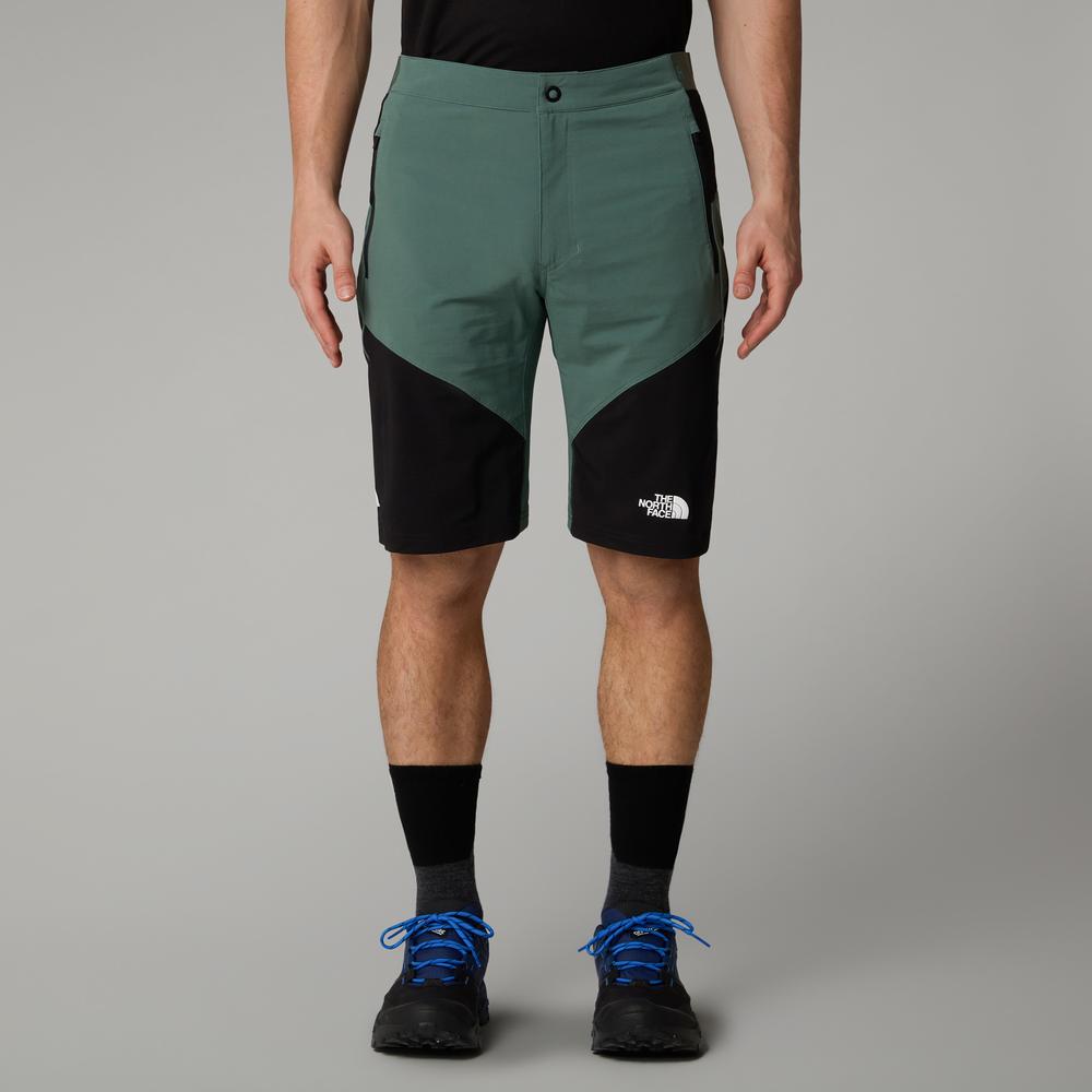 Pánské krátké kalhoty The North Face Felik 0A825XLFW1 - zelené