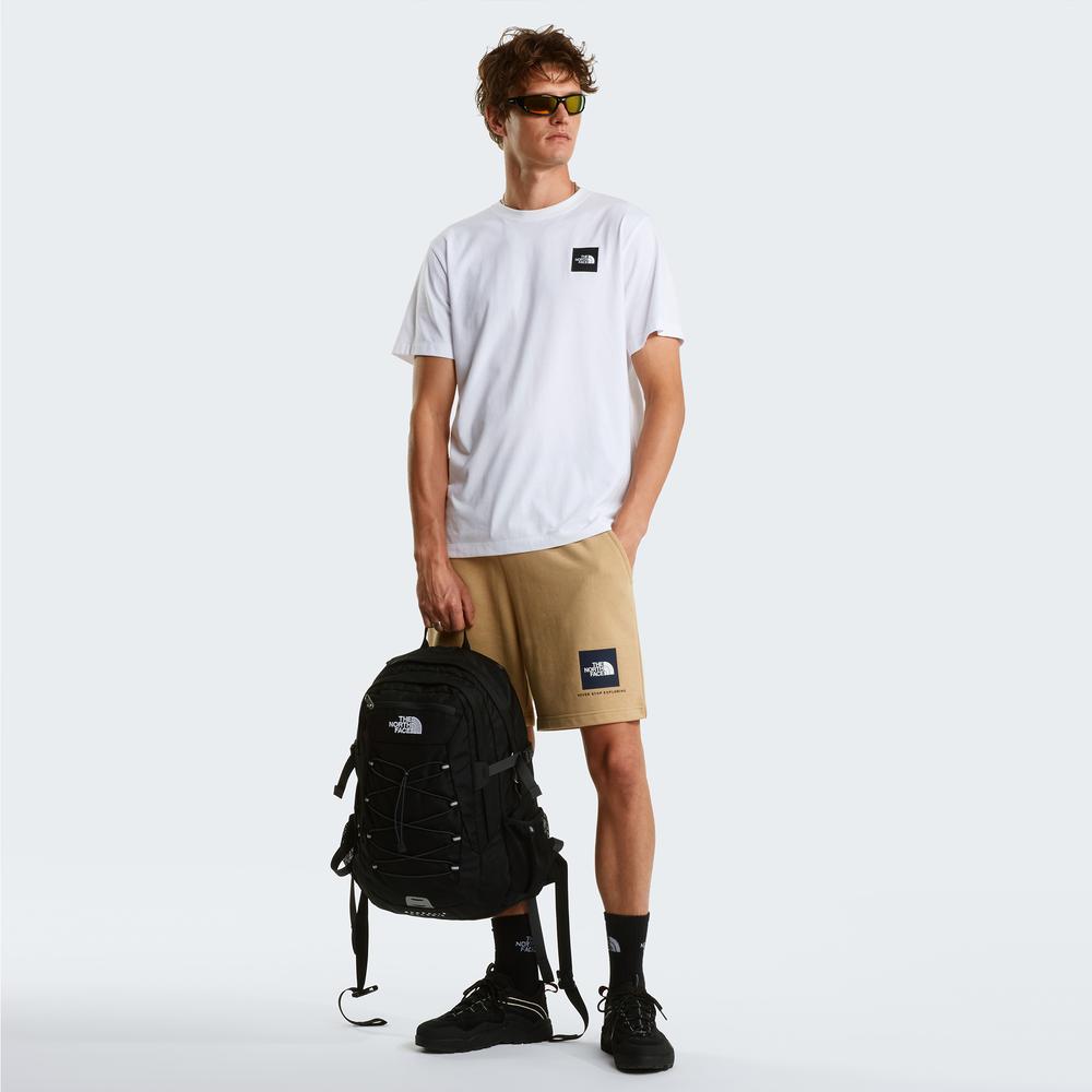 Krátké kalhoty pánské The North Face NSE Box Light 0A8GQ8LK51 - béžové