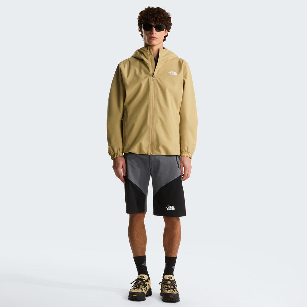 Pánské krátké kalhoty The North Face Felik 0A825XRPI1 - šedivé
