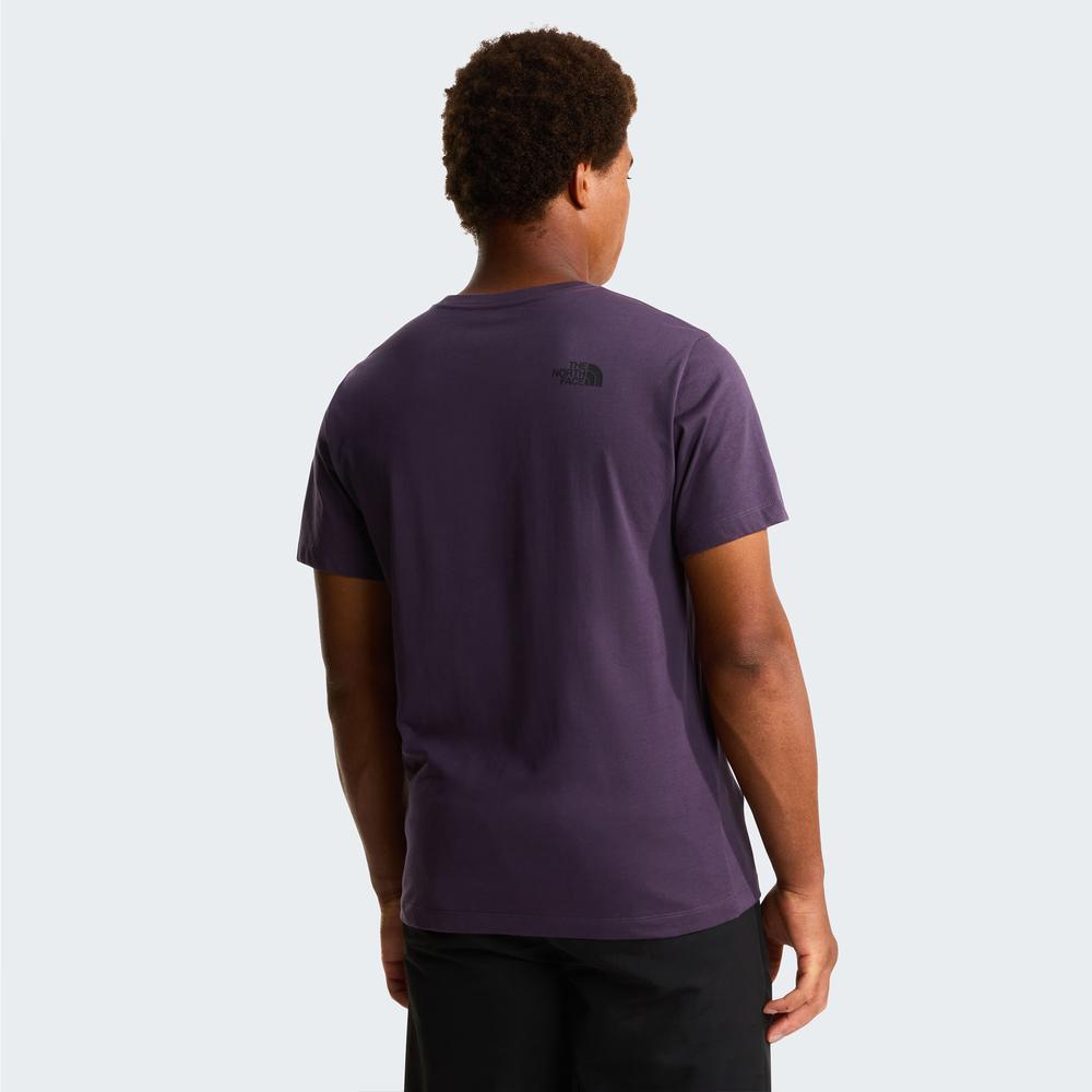 Pánská tričko The North Face Evolution Box Half Dome 0A8G9CG5O1 - fialové