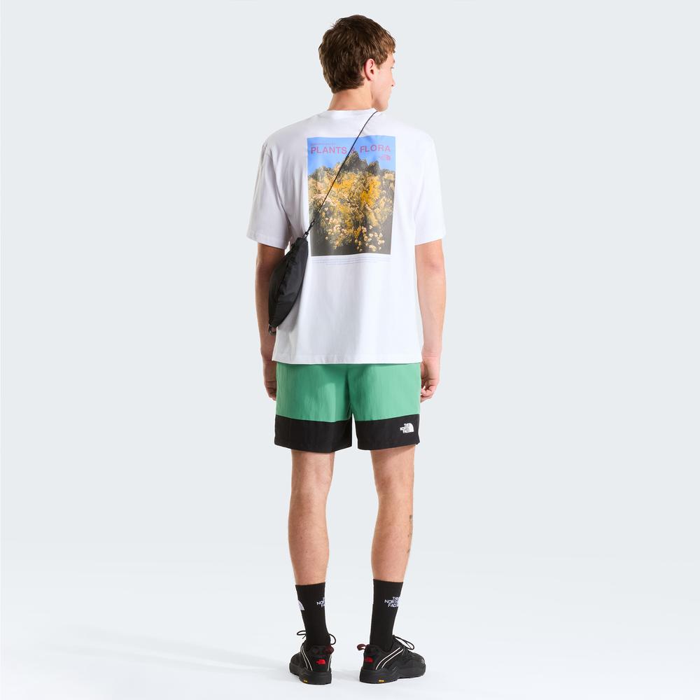 Pánské krátké kalhoty The North Face Leynar 0A8FU8MOA1 -zelené