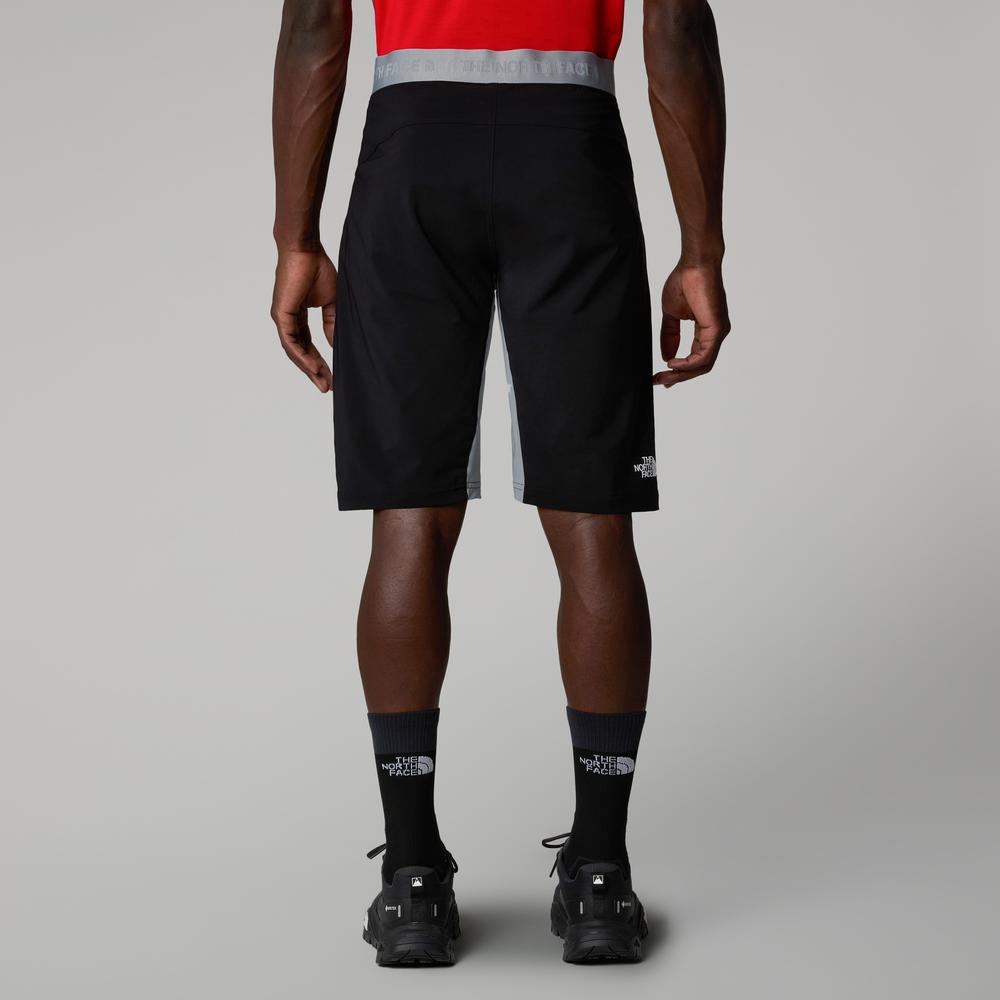 Pánské krátké kalhoty The North Face Felik 0A825XBO71 - šedivé