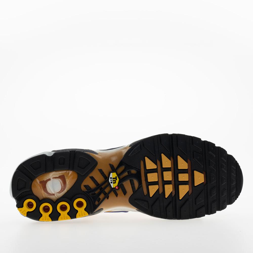 Pánské boty Nike Air Max Plus FZ3308-700 - různobarevné