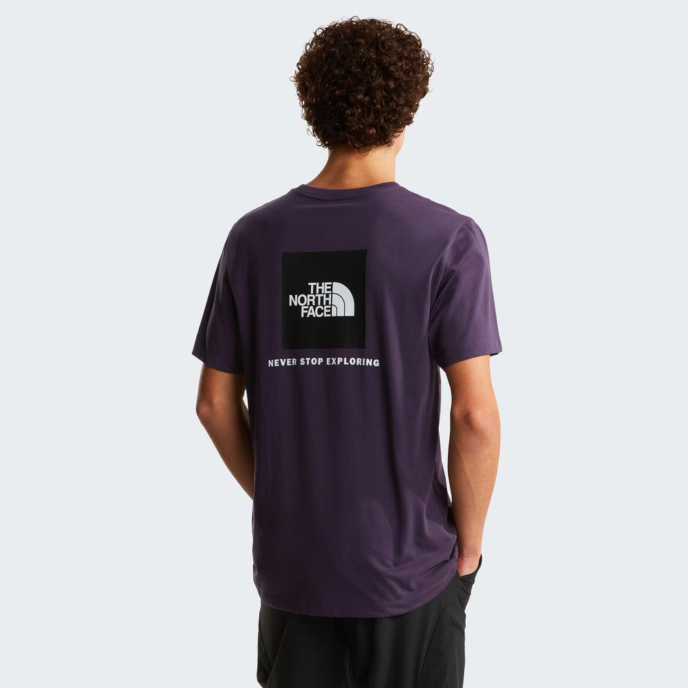 Pánská tričko The North Face Evolution NSE Box 0A8B6KG5O1 - fialové