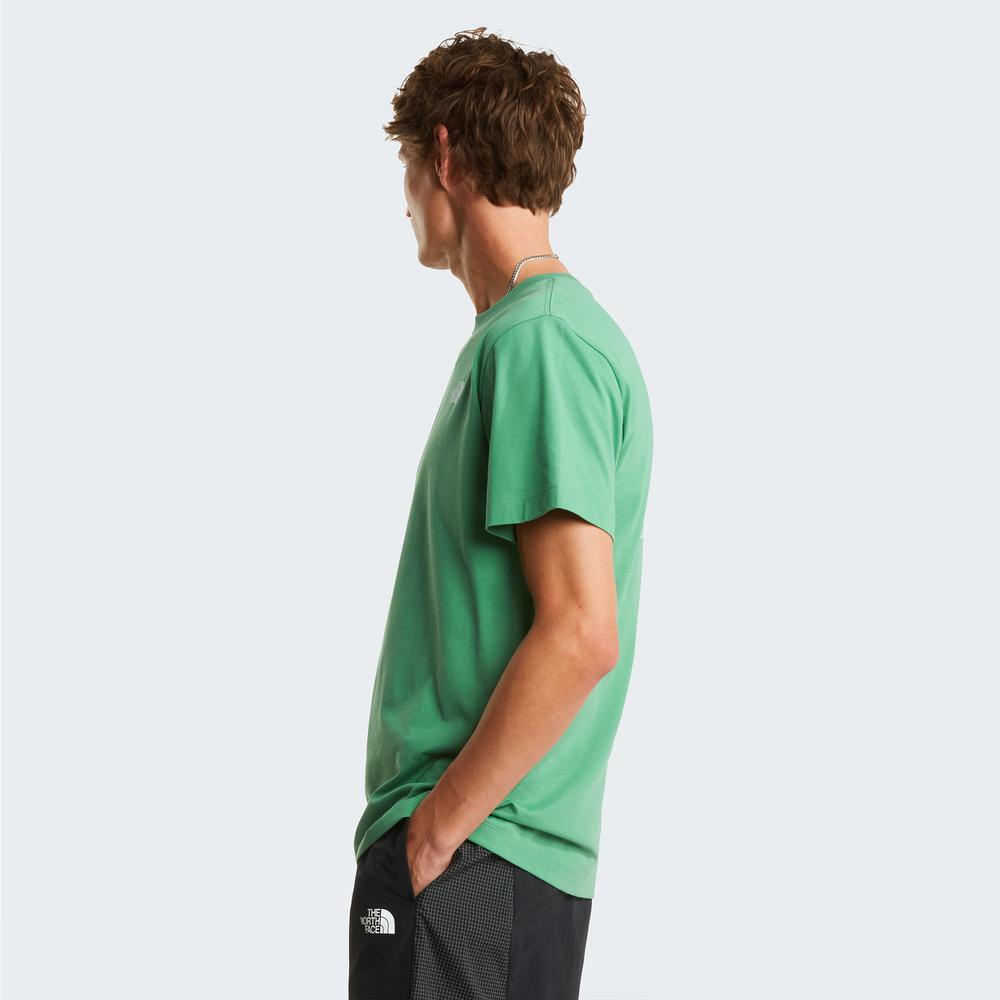 Pánská tričko The North Face Evolution NSE Box 0A8B6KG571 - zelené