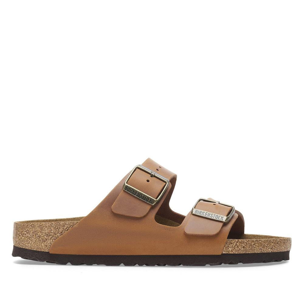 Žabky pánské Birkenstock Arizona 1028272 - hnědé