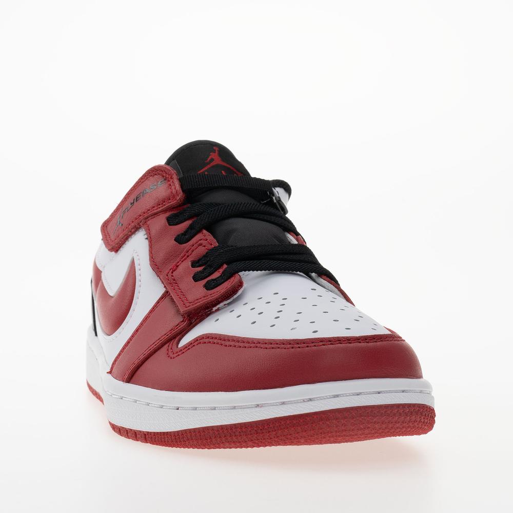 Pánské boty Air Jordan 1 Low Flyease DM1206-163 - různobarevné