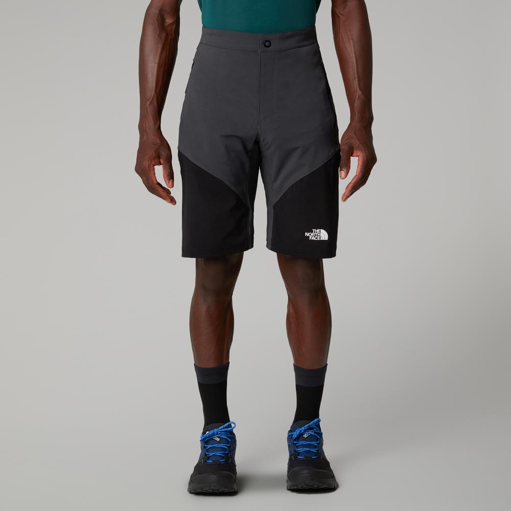 Pánské krátké kalhoty The North Face Felik 0A825X4JK1 - šedivé