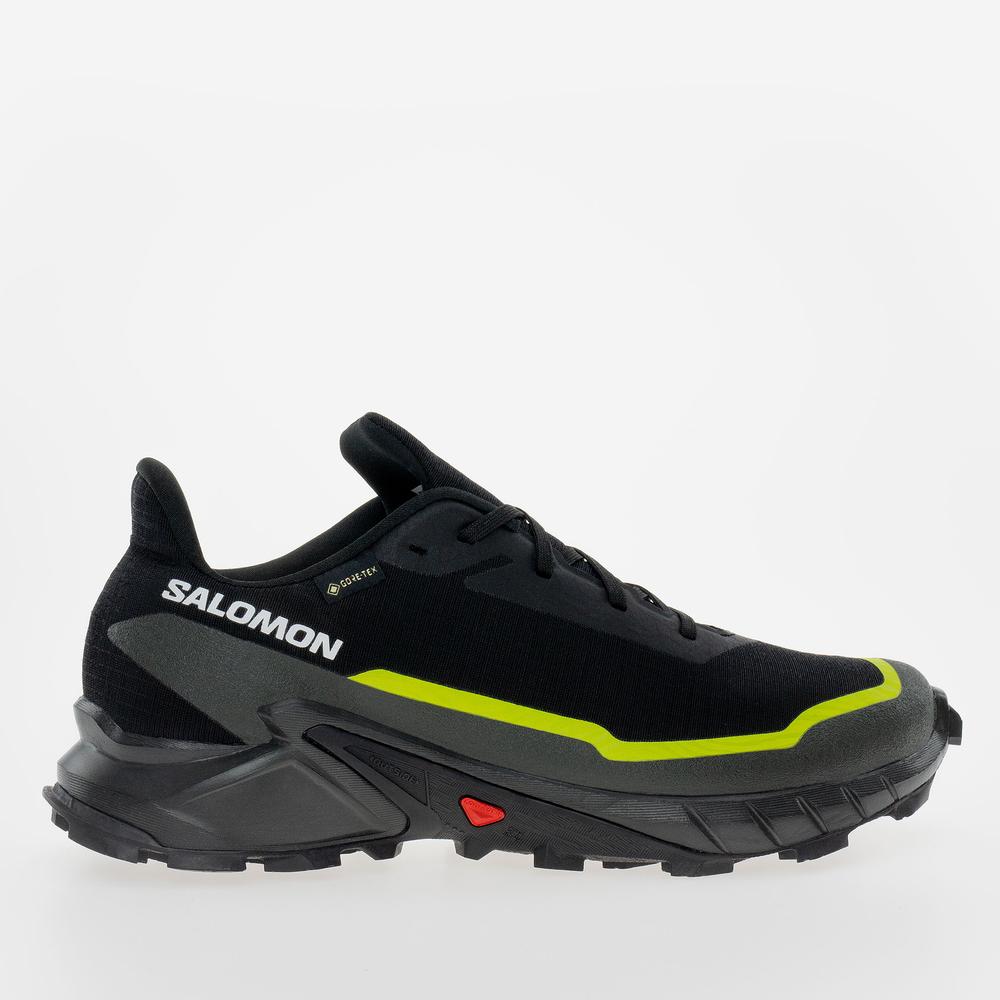 Boty Salomon Alphacross 5 Gore-Tex L47460400 - černé