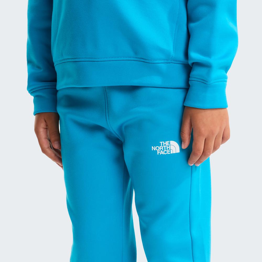 Tepláková souprava The North Face Performance 0A8CV0D7R1 - modré