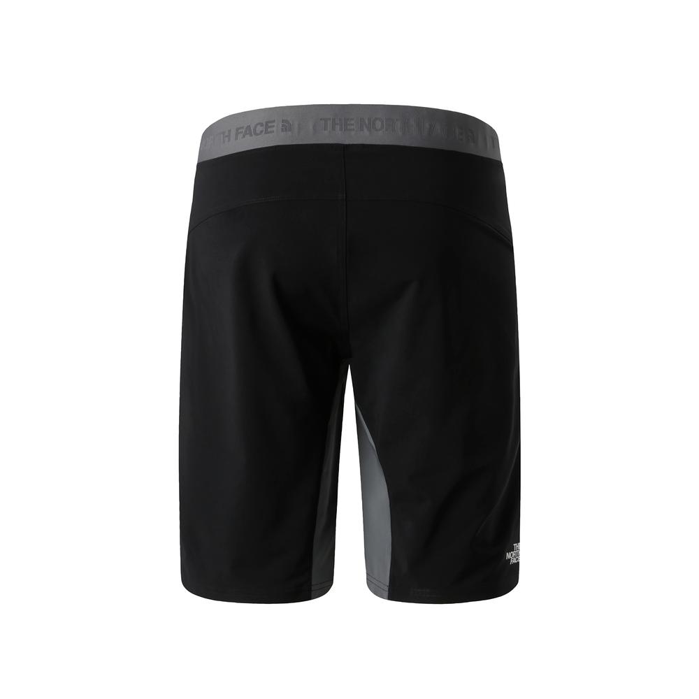 Pánské krátké kalhoty The North Face Felik 0A825XRPI1 - šedivé