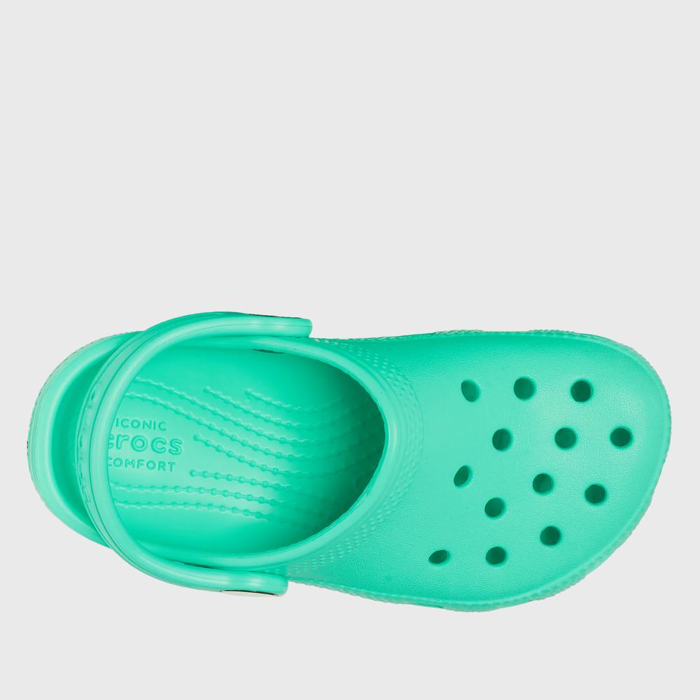 Žabky Crocs Classic Clog 206991-3WM - zelené