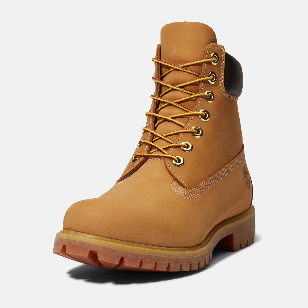 Pánské boty Timberland Premium 6 Inch Boot 1100617131 - hnědé